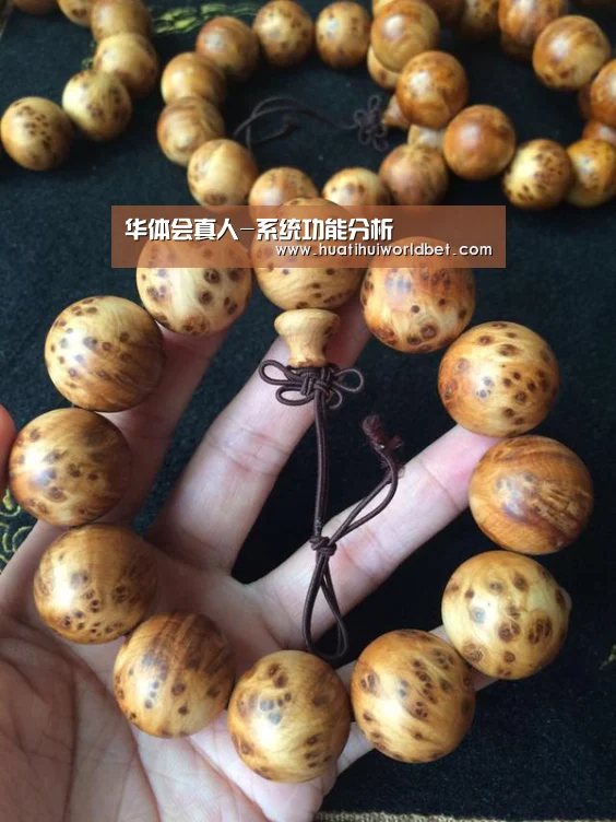 华体会登录