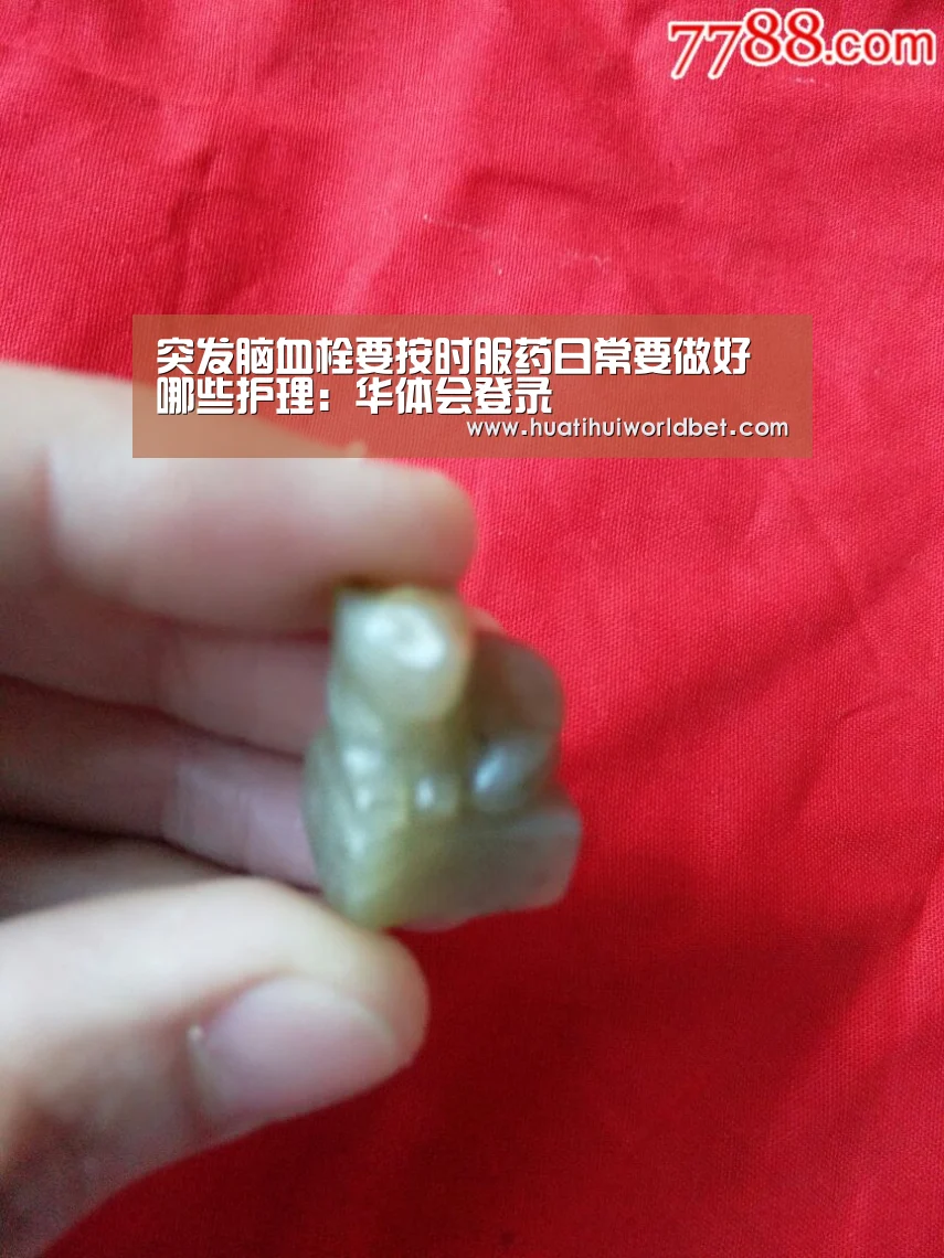 华体会平台